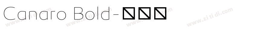 Canaro Bold字体转换